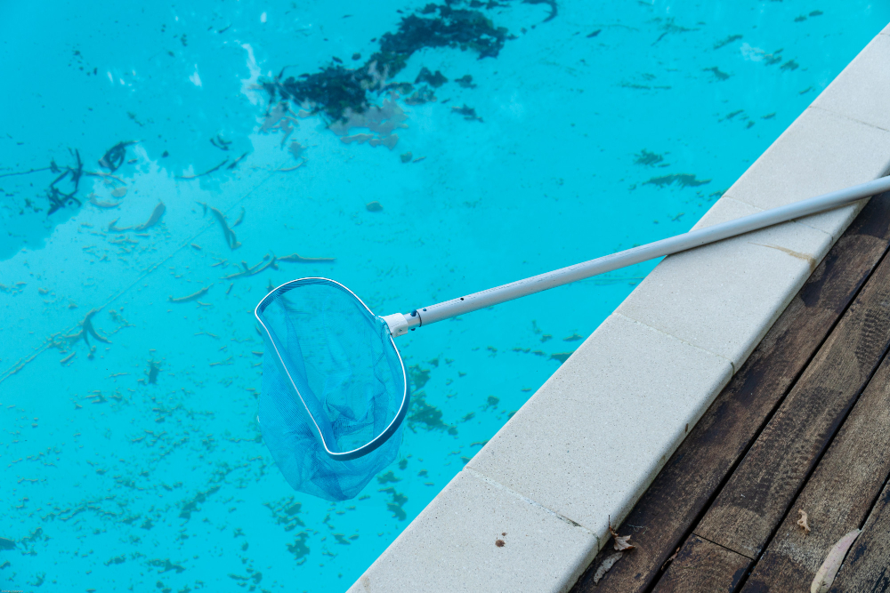 Top Signs Your Pool Needs Immediate Cleaning